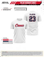 Load image into Gallery viewer, Ph Canes Practice Men's Sub Dye Jersey